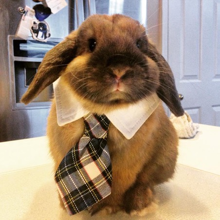 11104100 10102023912839467 1490364577 n